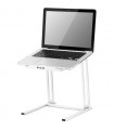 Caratteristiche Zomo LS-20 Supporto per computer portatile - bianco 0030103033