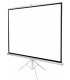 SCHERMO PROIEZIONE SU TREPPIEDE 150x150cm 84'' 1:1