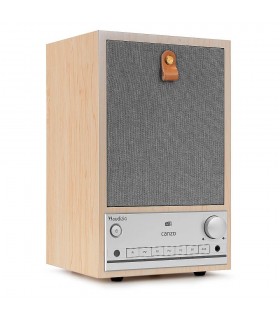 Audizio Canzo Booksh.Intern.DAB BT lightwd