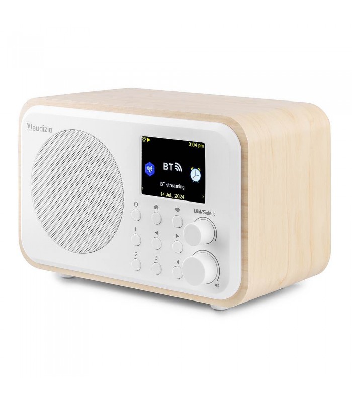 Audizio Vicenza Internet DAB BT WIFI White