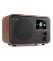 Audizio Vicenza Internet DAB BT WIFI Wood