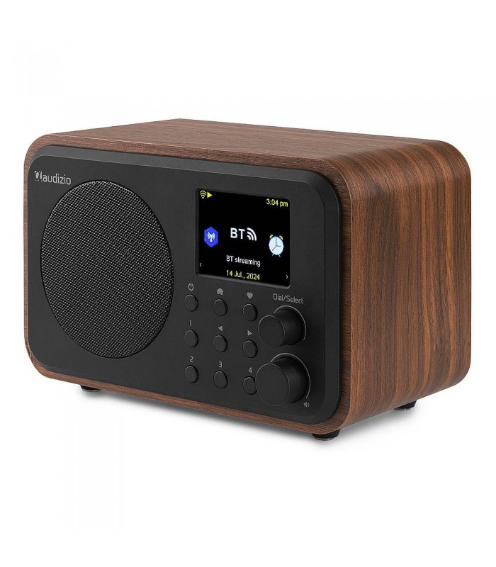 Audizio Vicenza Internet DAB BT WIFI Wood