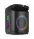Fenton Pulse65 Batt BT IPX4