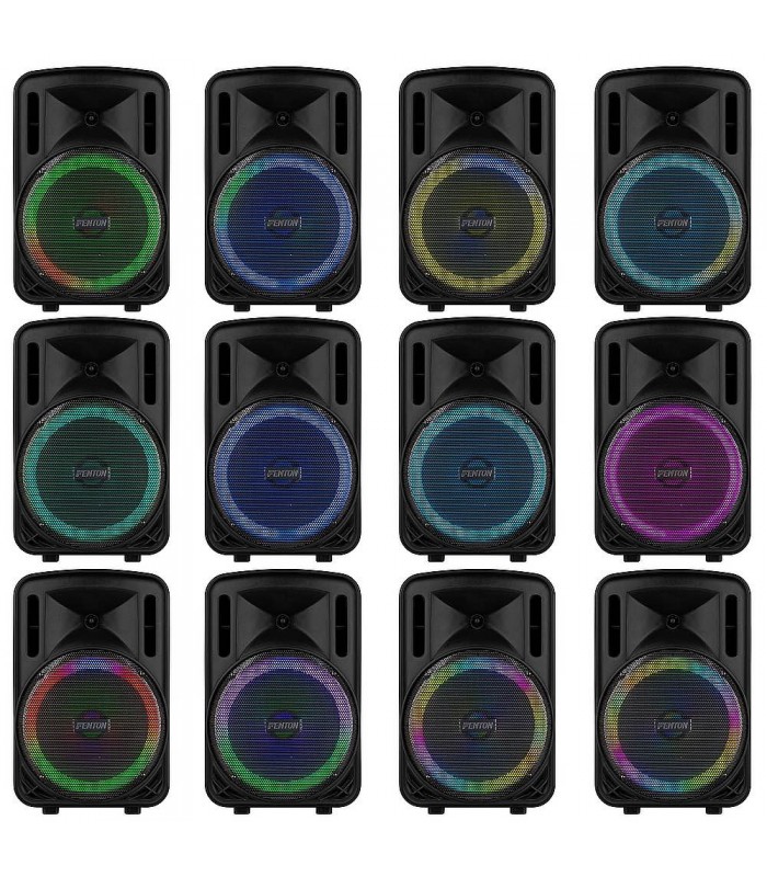 Fenton FT12LED MK2 Port.System12 BT 1xUHF