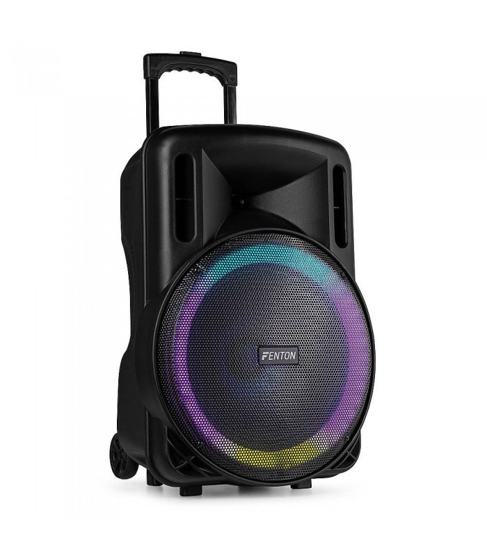 Fenton FT15LED Mk2 Port.System15 BT 1xUHF