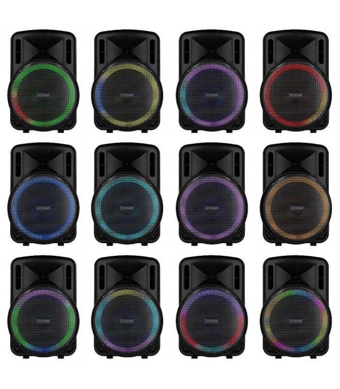 Fenton FT15LED Mk2 Port.System15 BT 1xUHF