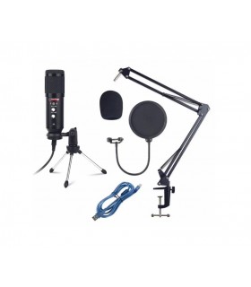 AUDIODESIGN PRO PA MC USB1 MICROFONO A CONDENSATORE USB CON ACCESSORI