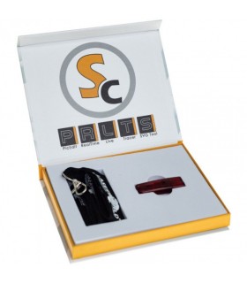 Laserworld Showcontroller