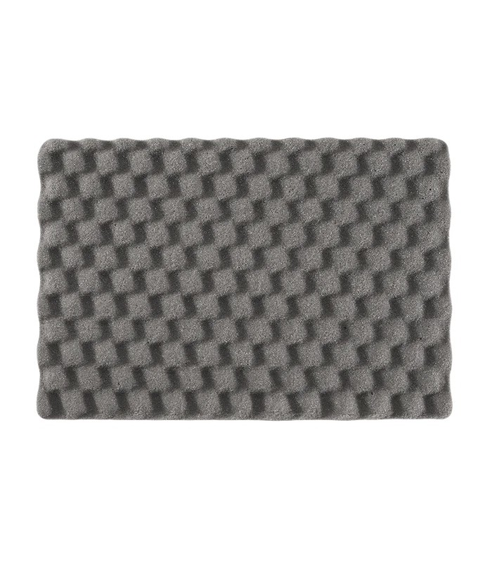 Panaro INT540H245CAM