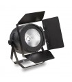 PAR CENTOLIGHT SCENIC W2001 1*200W WW+CW - 60° CON ALETTE