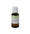 SOUNDSATION FF20ML MINT ESSENZE AL PROFUMO DI MENTA 20ml