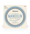 D'ADDARIO EJ62 CORDE PER MANDOLINO 10-34 80/20 BRONZE LIGHT
