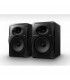 MONITOR SPEAKER PIONEER VM-80 8" ricondizionato