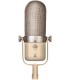 GOLDEN AGE PROJECT Golden Age Project R1 Mkii Promo