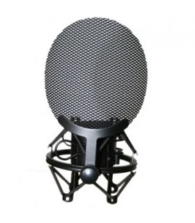 GOLDEN AGE PROJECT Golden Age Project Sp 1