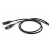 PROEL  BRV250LU10BK BRAVE CAVO AUDIO