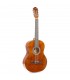 MAXMusic SoloArt Classic GuitarPack Darknat.