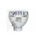 oem Bulb 18R 371W