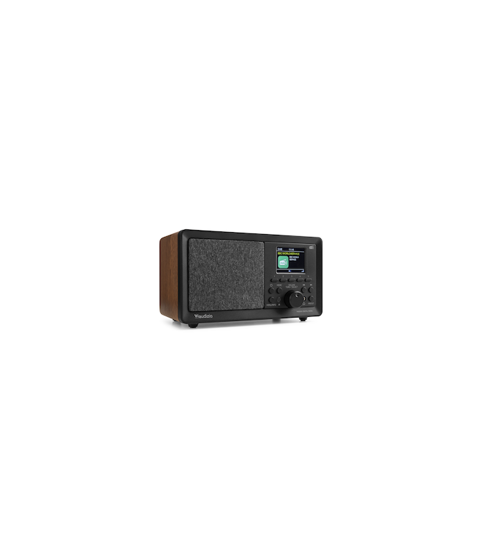 Audizio Padova DAB+Radio BT IRC Wood