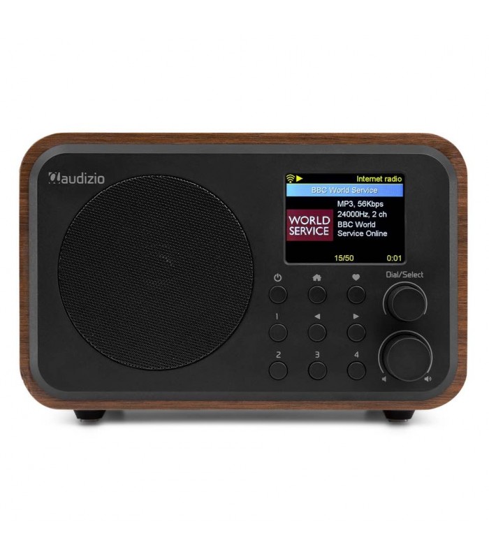 Audizio Vicenza Internet DAB BT WIFI Wood