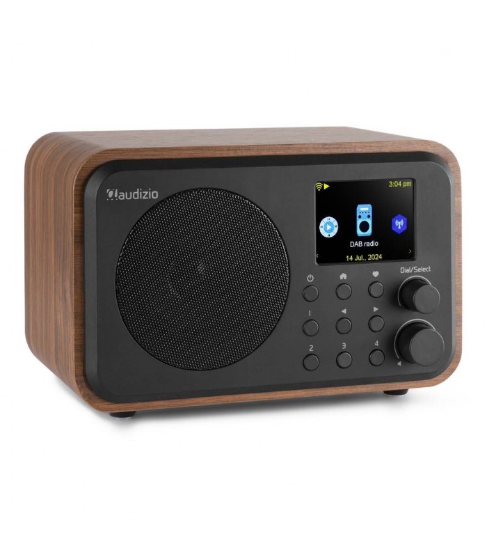 Audizio Vicenza Internet DAB BT WIFI Wood