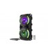 Fenton LIVE280 KaraokeStation 2x8BT Batt/2mic