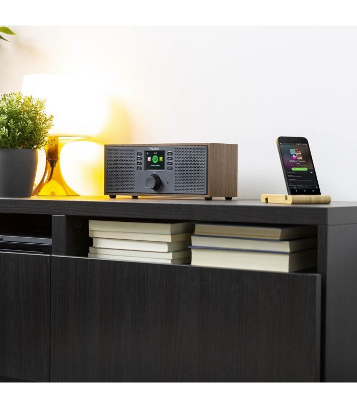 Audizio Rimini Internet Radio WiFi BT Wood