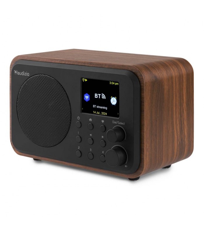Audizio Vicenza Internet DAB BT WIFI Wood
