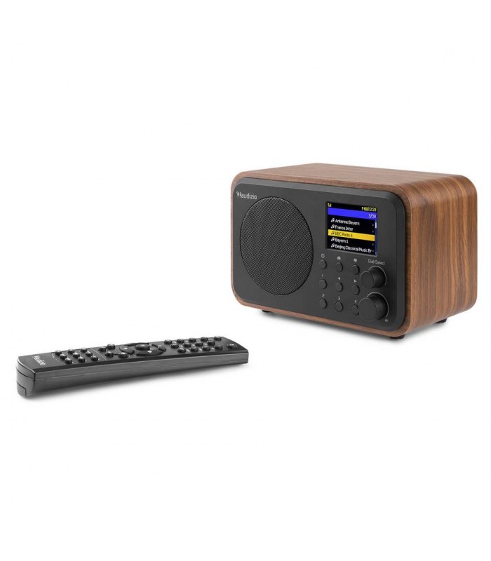Audizio Vicenza Internet DAB BT WIFI Wood