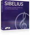 AVID Avid Sibelius Artist Perp Lic Promo