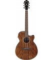 IBANEZ AEG61 NMH CHITARRA ACUSTICA ELETTRIFICATA