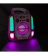 Fenton SBS30P Karaoke CD BT 2micro Pk