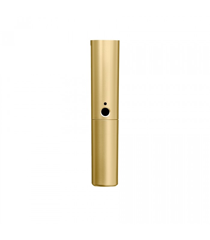 Shure WA713-GLD Corpo oro BLX2 con capsula SM58 e Beta58A