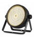 beamZ BT430 PARStrobe Lightw.324xCC/WW IR