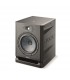 Focal ALPHA 80 EVO