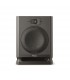 Focal ALPHA 80 EVO